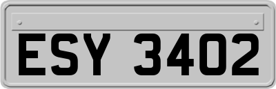 ESY3402