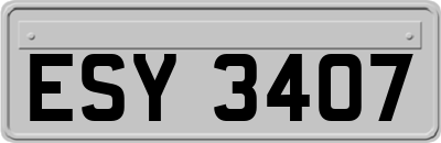 ESY3407
