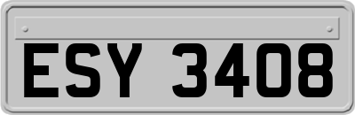 ESY3408