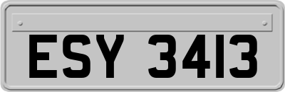 ESY3413