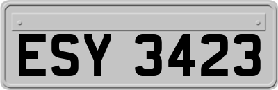 ESY3423