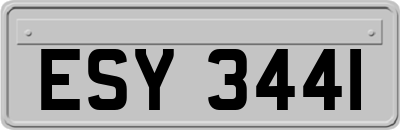 ESY3441