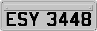 ESY3448