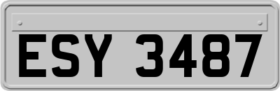 ESY3487