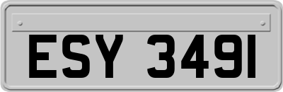 ESY3491