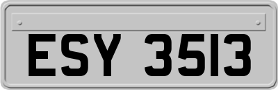 ESY3513