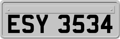 ESY3534