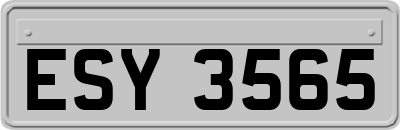 ESY3565