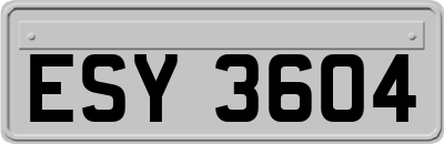ESY3604