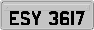 ESY3617