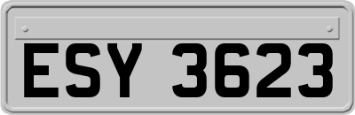 ESY3623