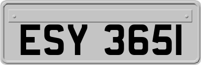 ESY3651