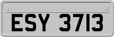 ESY3713