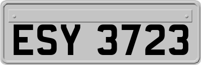 ESY3723