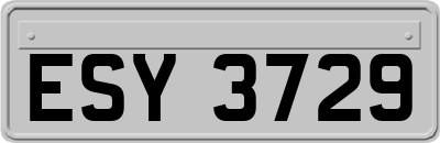 ESY3729