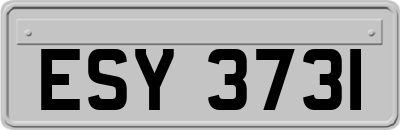ESY3731