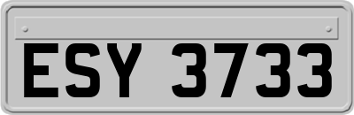 ESY3733