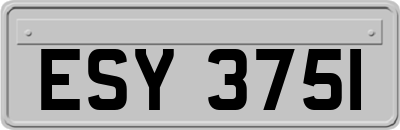 ESY3751