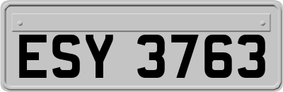 ESY3763