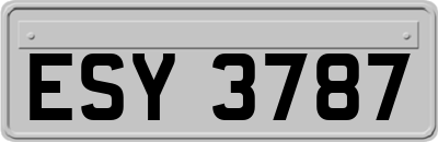 ESY3787