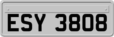 ESY3808