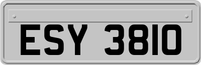 ESY3810