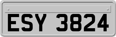 ESY3824