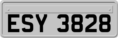 ESY3828