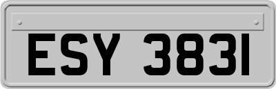 ESY3831