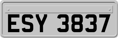 ESY3837