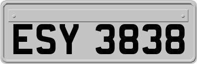 ESY3838