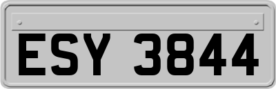 ESY3844