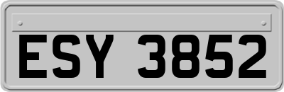 ESY3852