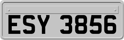 ESY3856