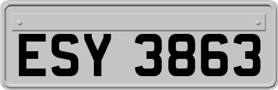 ESY3863