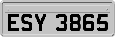 ESY3865