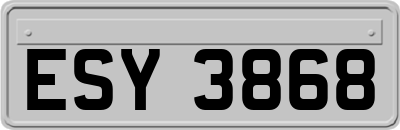 ESY3868