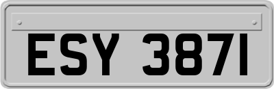 ESY3871