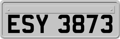 ESY3873