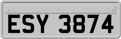 ESY3874