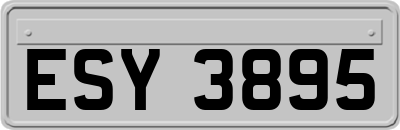 ESY3895