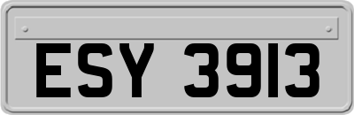 ESY3913