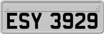 ESY3929