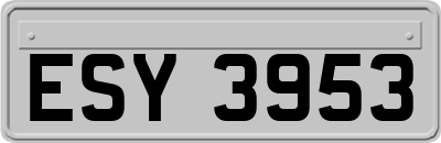 ESY3953