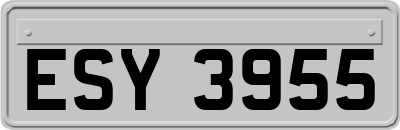 ESY3955