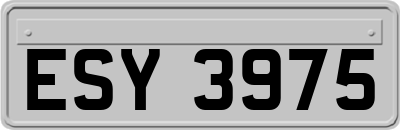 ESY3975