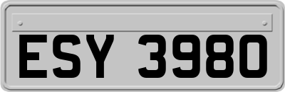 ESY3980
