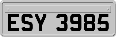 ESY3985