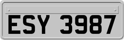 ESY3987