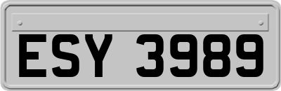 ESY3989